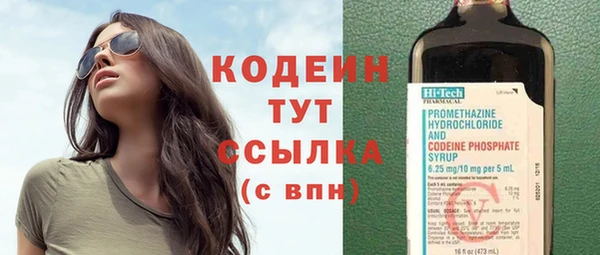 СК Елизово