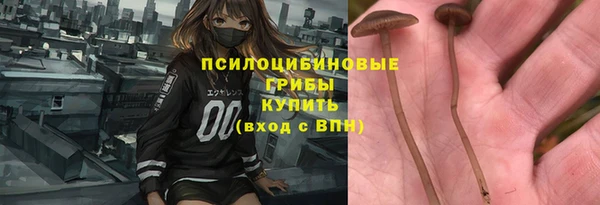дмт Заволжск