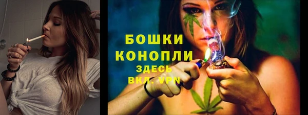 СК Елизово