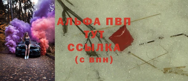 СК Елизово