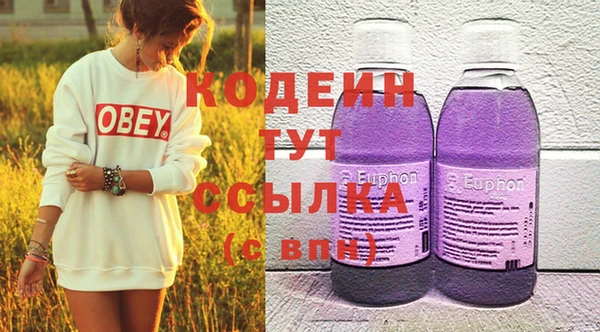 СК Елизово