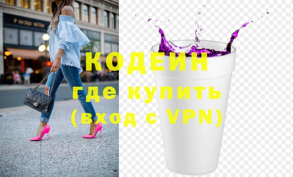 СК Елизово