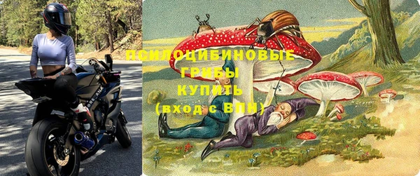 бошки Ельня