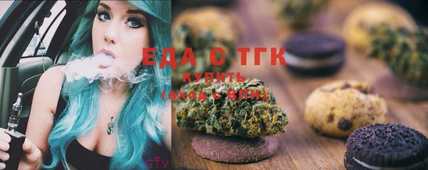 СК Елизово