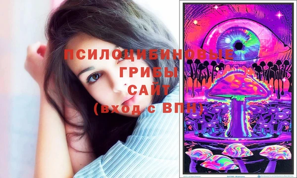 бошки Ельня