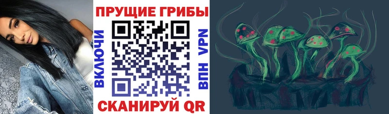 Купить  Звенигово  Псилоцибиновые грибы MAGIC MUSHROOMS 